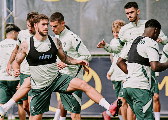 Brigadas Amarillas propone una 'tregua' en el Cádiz pensando en el futuro en LaLiga Hypermotion