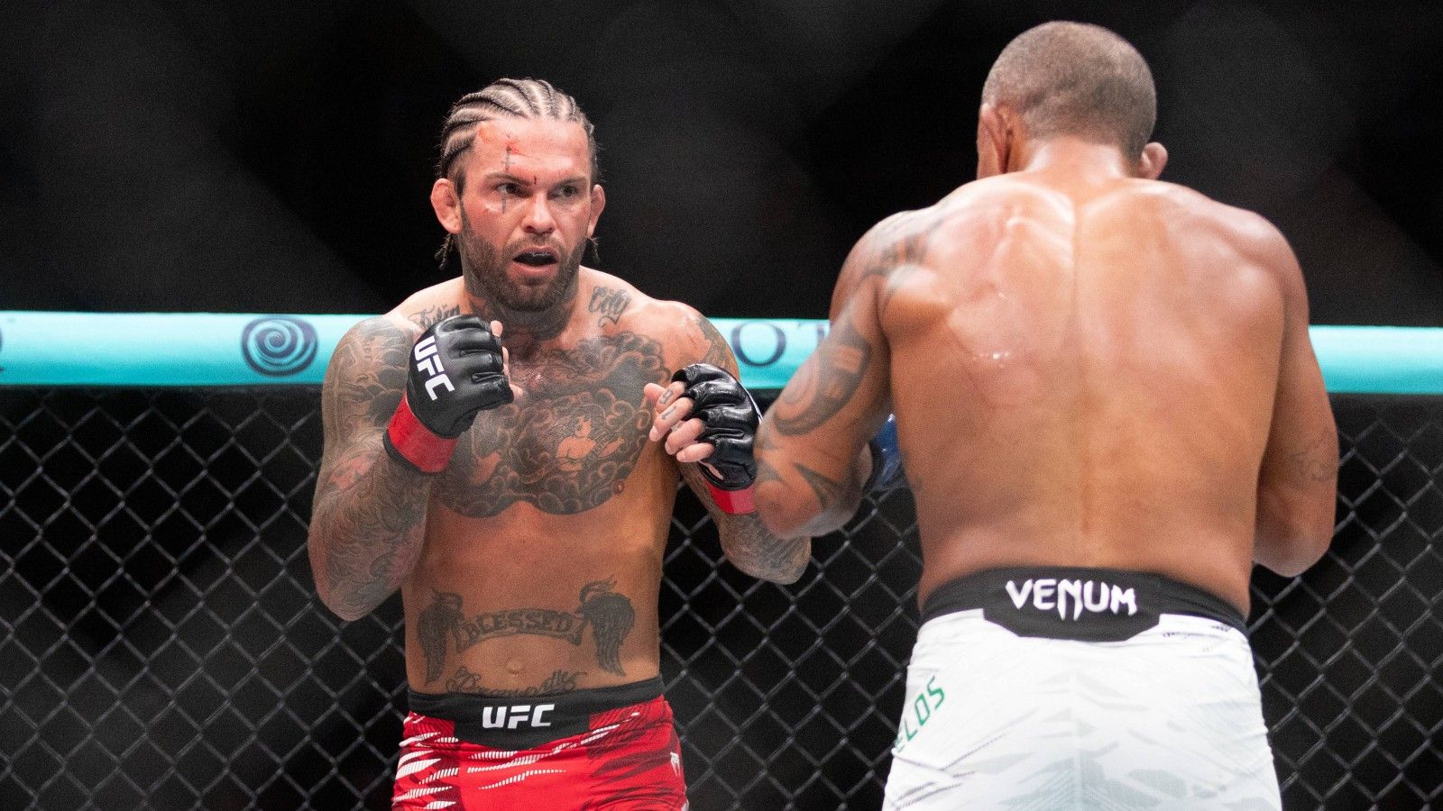 Las categorías de peso: por qué existen y cómo se controlan en UFC
