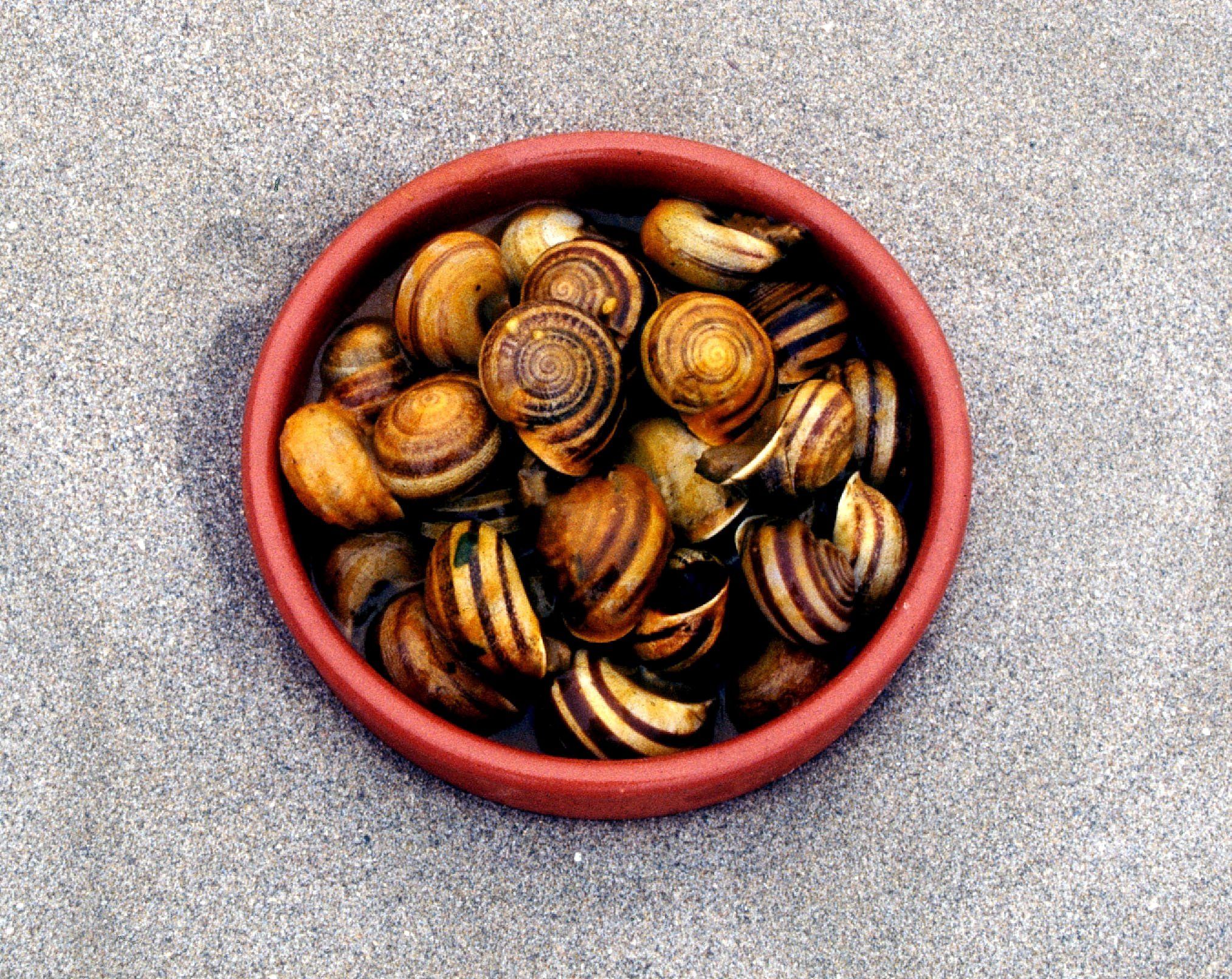 Los mejores caracoles de Sevilla