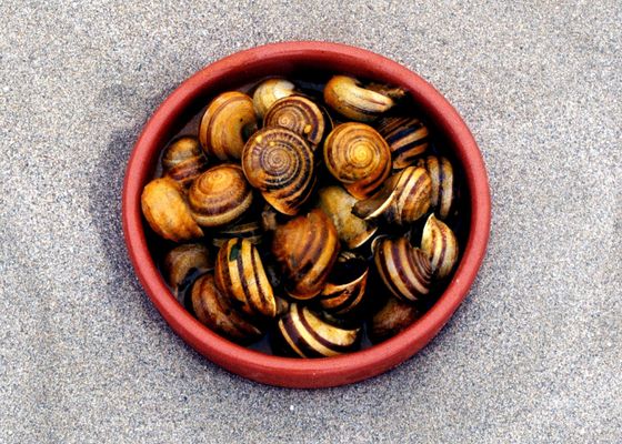 Los mejores caracoles de Sevilla
