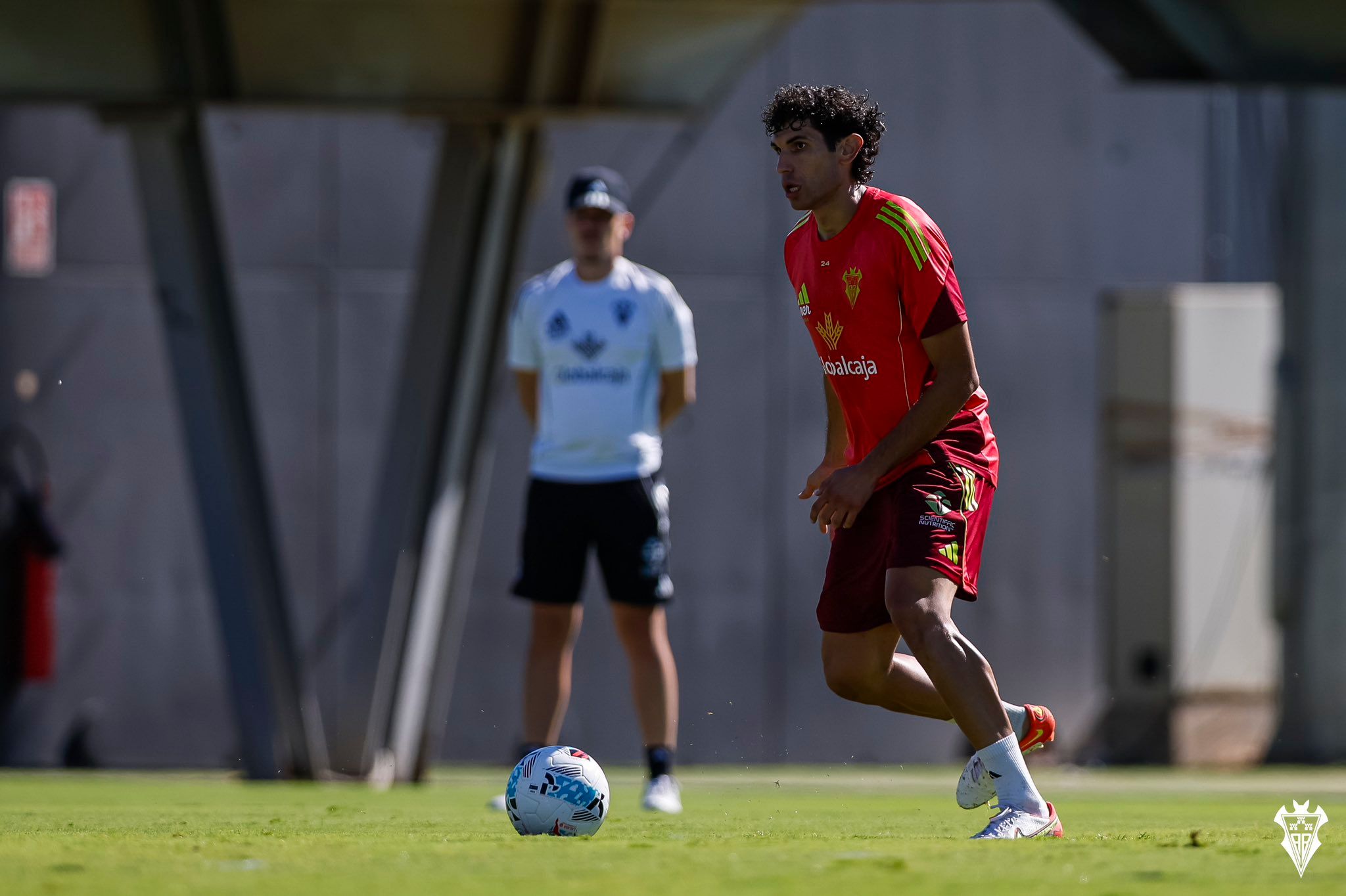 Jesús Vallejo, el elegido