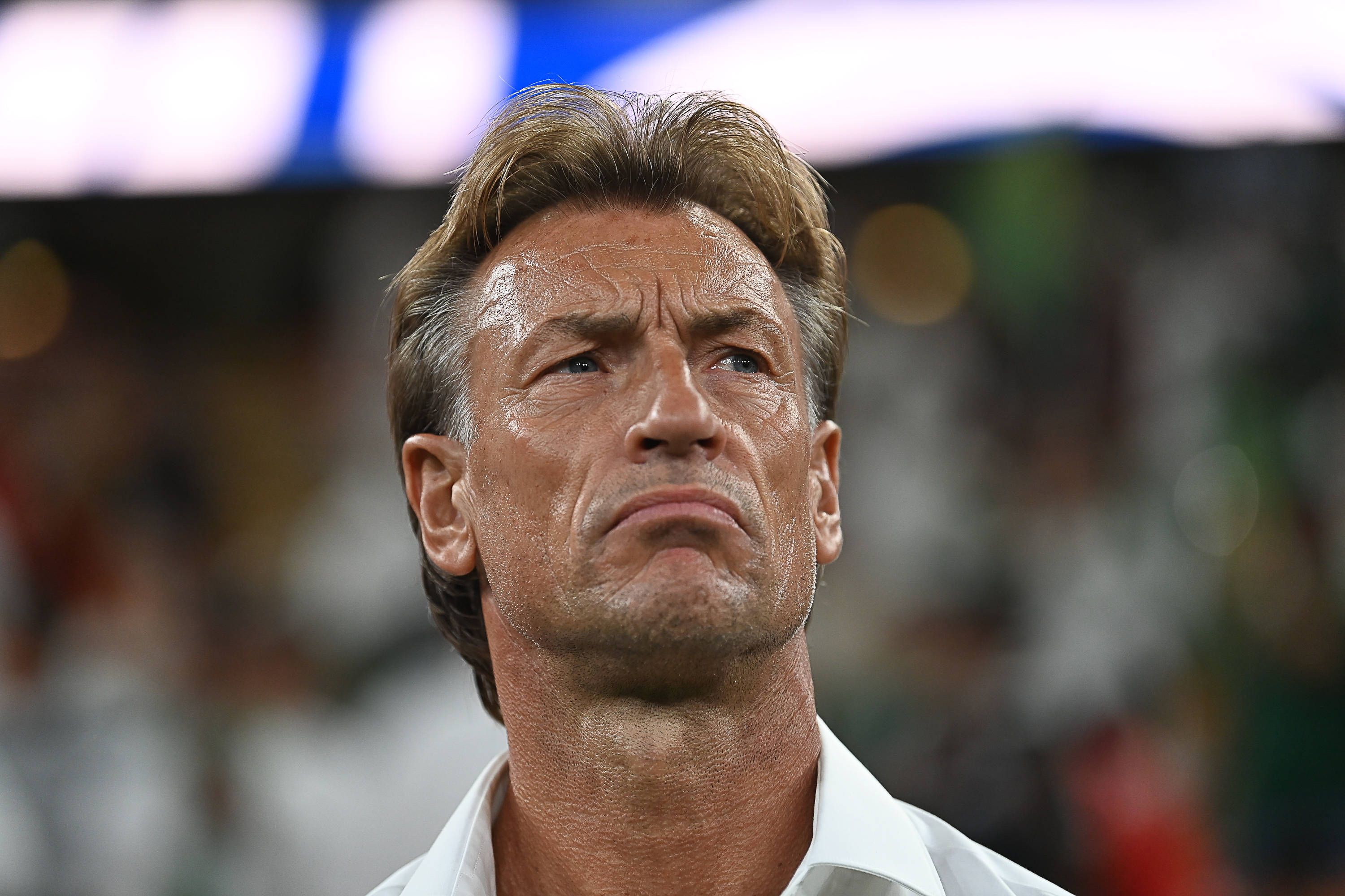Arabia Saudí, rival de España en el Mundial, despide a Renard a semanas del debut