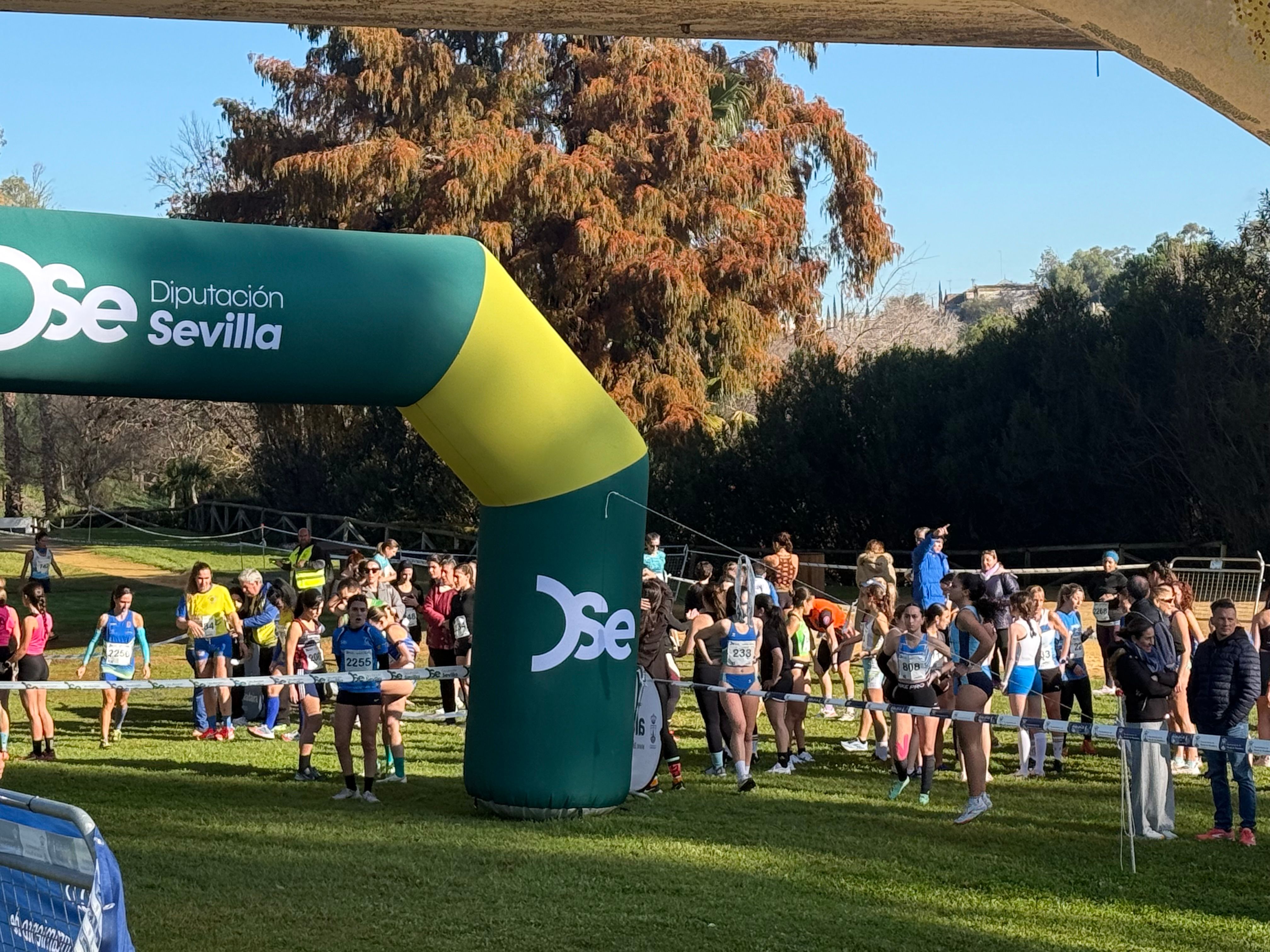 Éxito de la cuarta jornada en Alcalá de Guadaíra del Circuito provincial de Campo a través