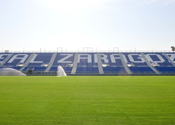 El Real Zaragoza lanza un comunicado y aclarar la cesión del Ibercaja Estadio para la Copa del Rey