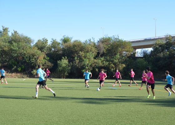 Cómo competir en la Universidad de Sevilla