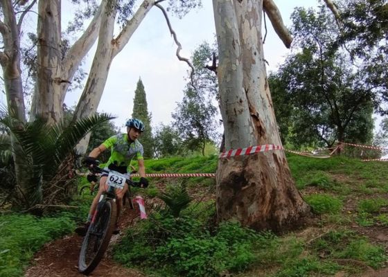 Estas son las categorías del Circuito Provincial de BTT Rally 