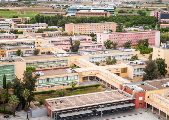 La UPO organizará el próximo día 7 de noviembre en la UPO sus I Jornadas RIIAFEL