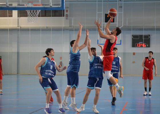 La Universidad de Sevilla se prepara para el europeo de baloncesto