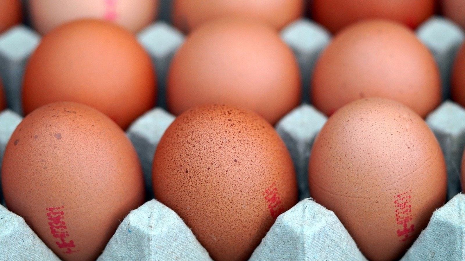 El tamaño sí importa: Mejor huevos pequeños