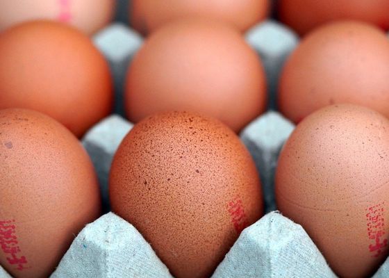 El tamaño sí importa: Mejor huevos pequeños