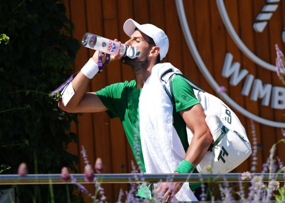 El cambio radical en la alimentación de Djokovic que disparó su carrera en el tenis 