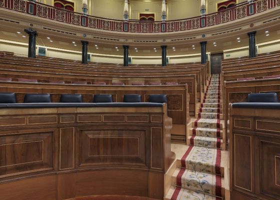 Del Congreso de los diputados a modelo de OnlyFans