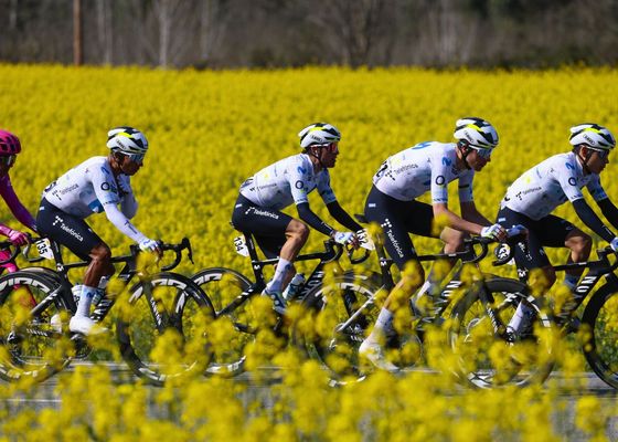 Peligro de descenso para el Movistar Team