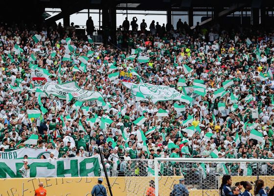Rocky Balboa es el talismán para Palmeiras