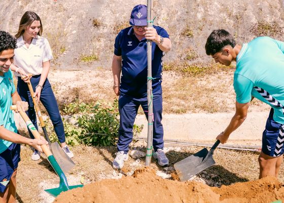 Nueva plantación de árboles en la Ciudad Deportiva Rafael Gordillo