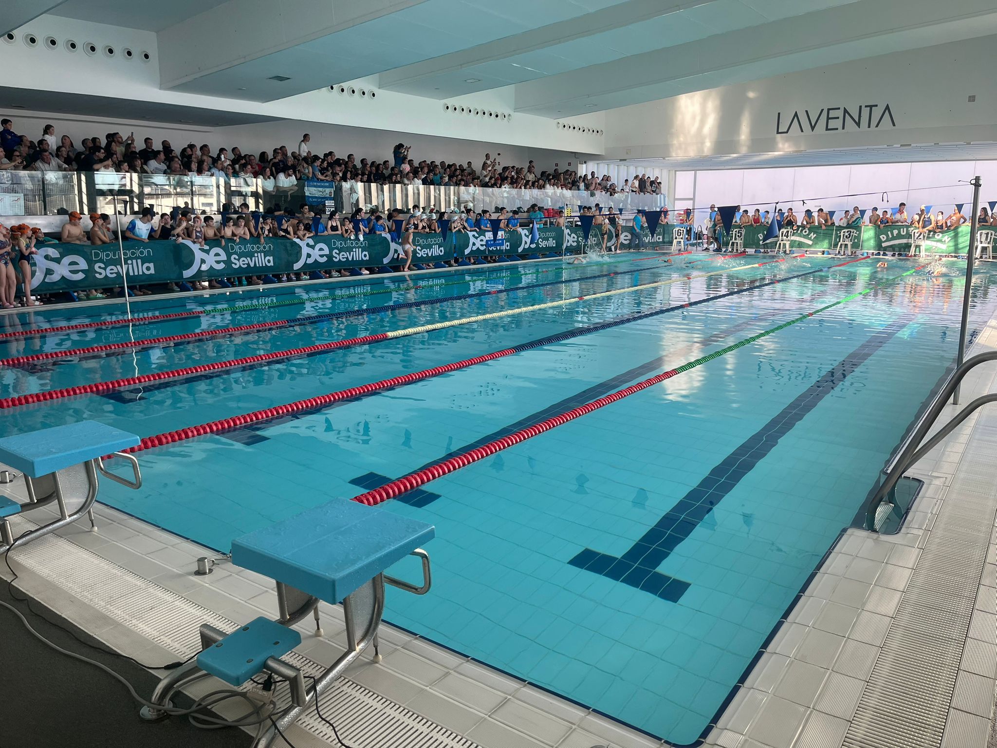 Dos grupos del Circuito de Natación de Invierno celebrarán sus respectivas jornadas este fin de semana