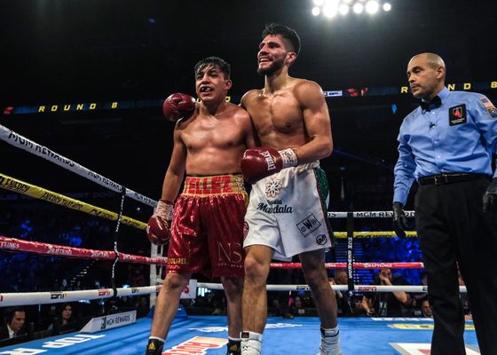 ¿Cuáles son las diferentes categorías y distribución de pesos en el boxeo profesional?
