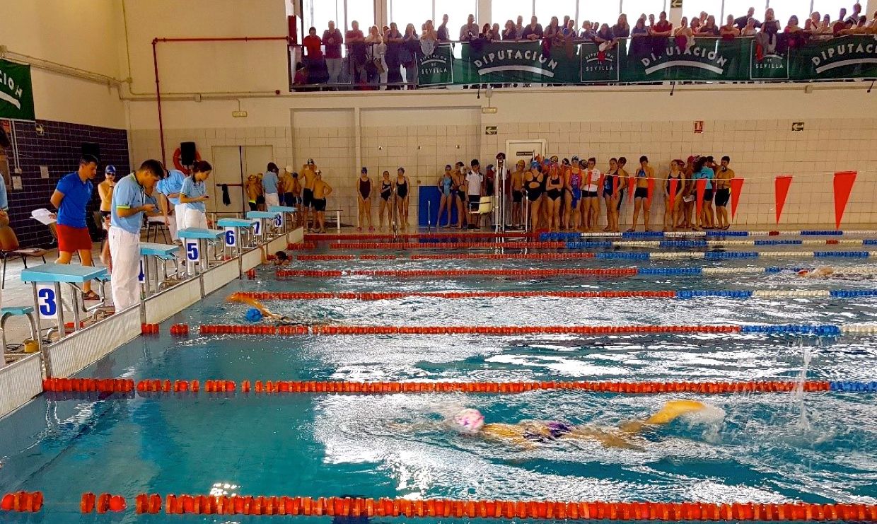 Hasta tres jornadas se celebrarán este fin de semana del Circuito Provincial de Natación 