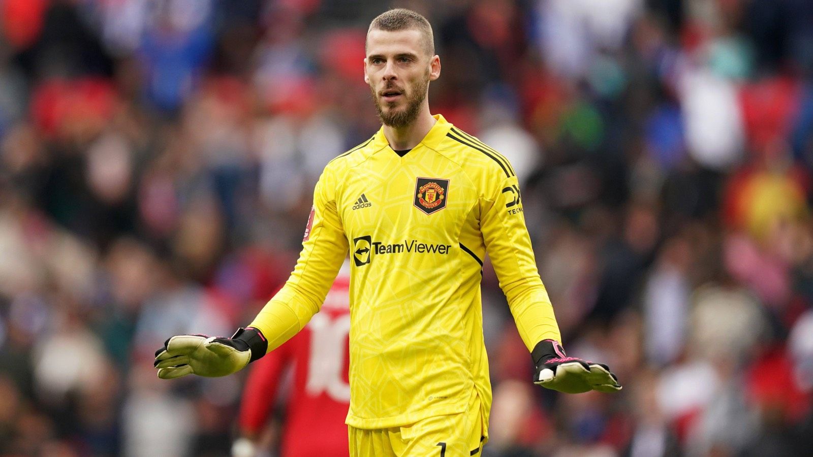 "Si Pellegrini habla sobre De Gea el fichaje tiende más al sí que al no"