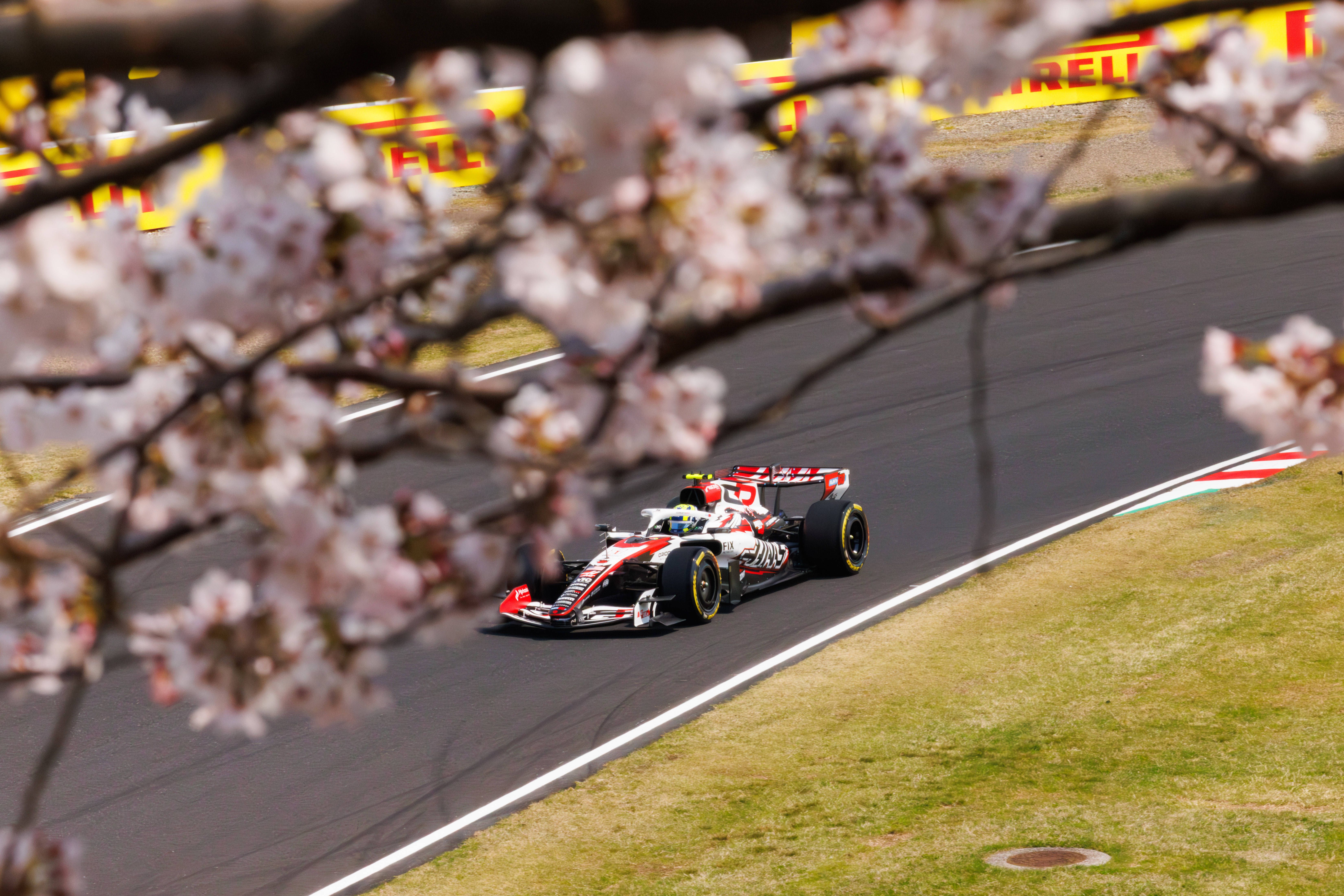 F1 GP Japón 2026 | La carrera en directo con Fernando Alonso y Carlos Sainz en el circuito de Suzuka