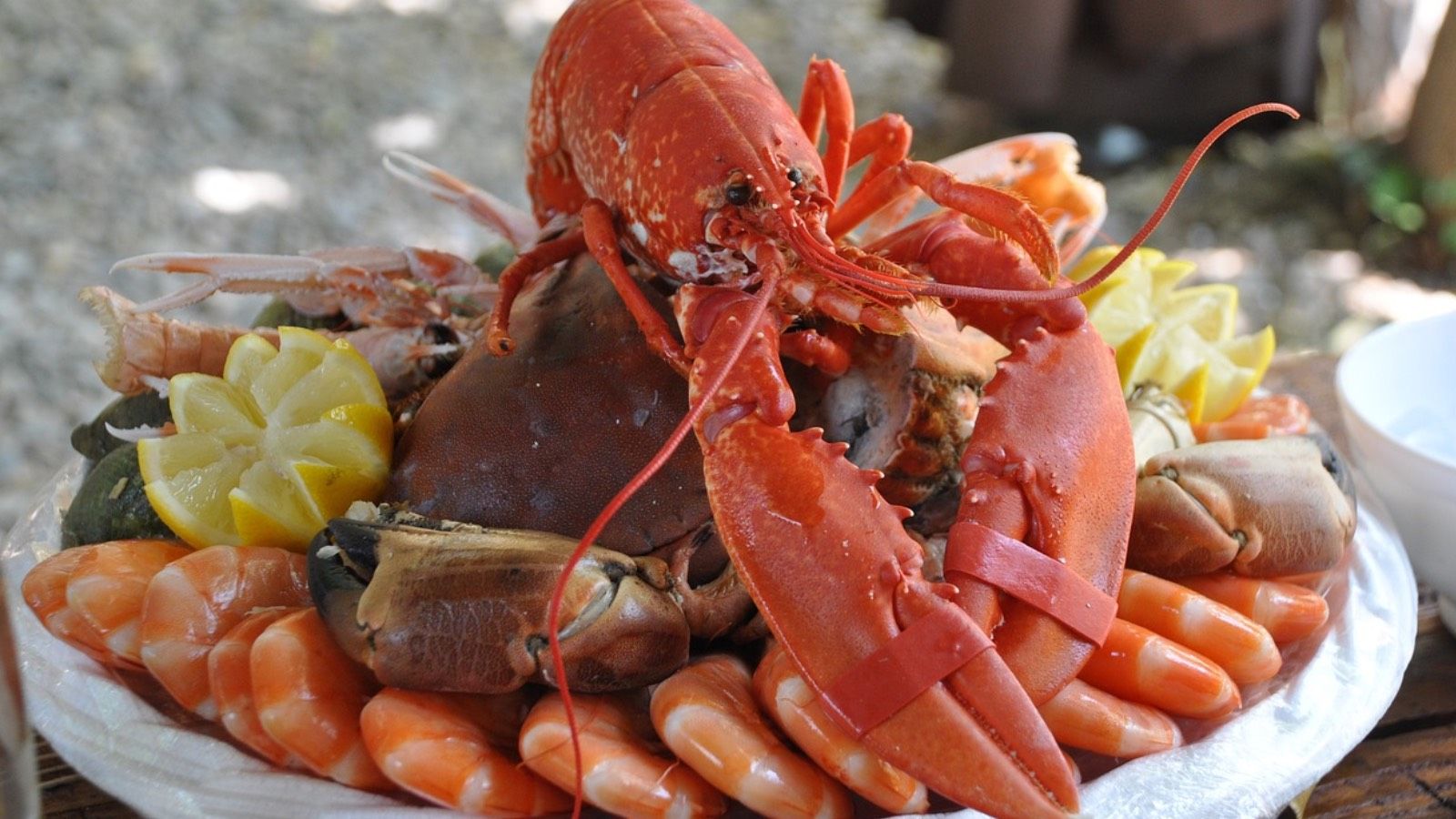 Prohibición de mariscos: Langostas y cangrejos podrían tener las horas contadas