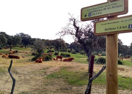 La octava jornada del Circuito Provincial de Senderismo se celebrará el 18 de mayo