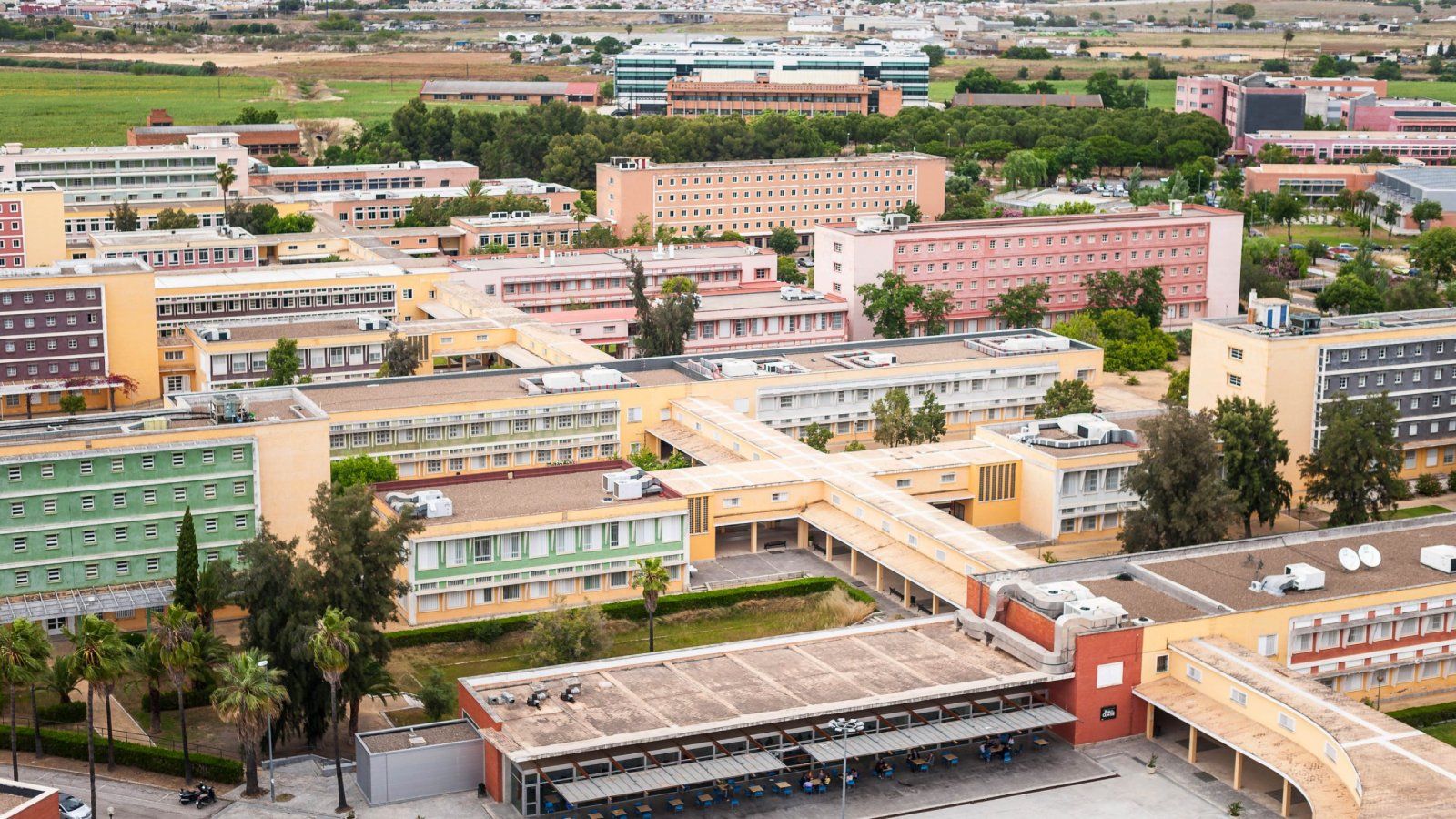 Las semejanzas de la UPO y los campus universitarios en EEUU