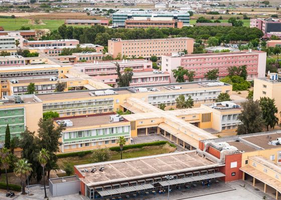 Las semejanzas de la UPO y los campus universitarios en EEUU