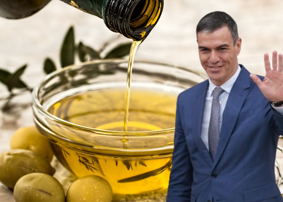 El nuevo precio del aceite de oliva tras la rebaja del IVA