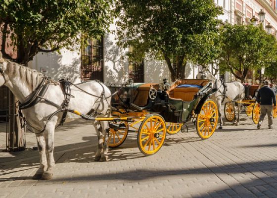 El fin de los coches de caballos