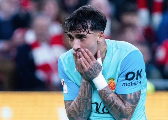 Otro revés para Manu Morlanes