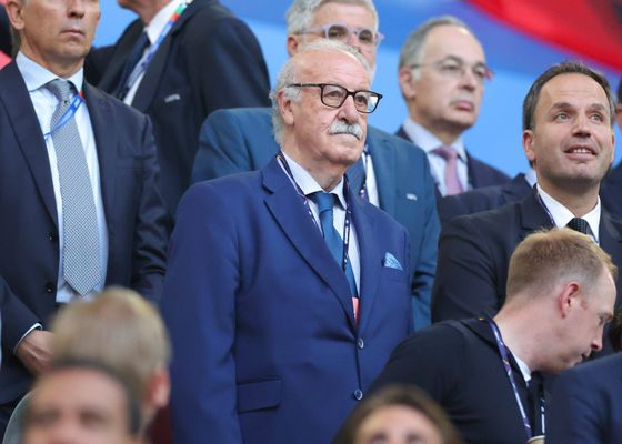 Del Bosque: "España es la máxima favorita"