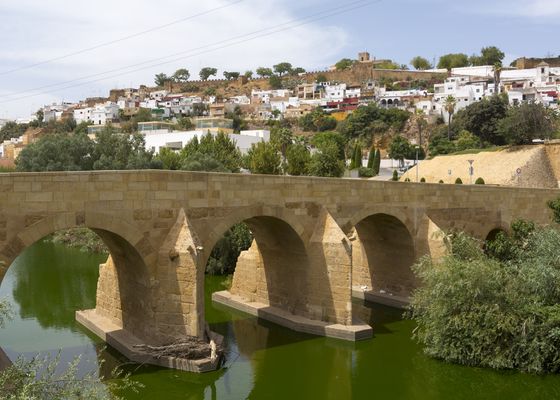 El pueblo de Sevilla donde se hace el mejor pan tradicional