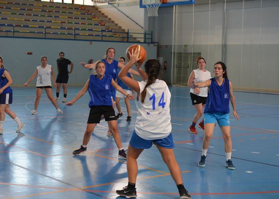 Compite en la Universidad de Sevilla