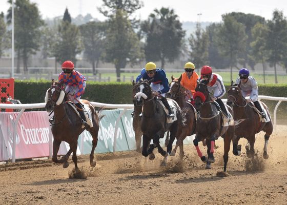 Protocolos y reprogramación de actividades para mantener la oferta deportiva