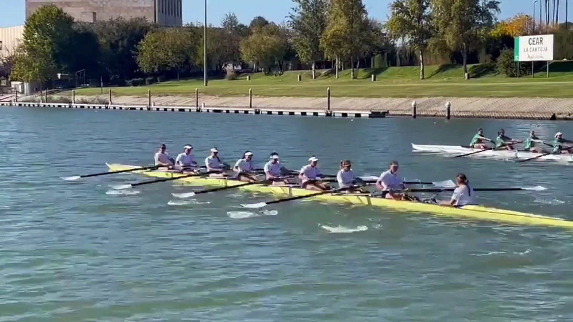 El Betis conquista la Regata Femenina y amplía su aún exigua ventaja con el ocho del Sevilla
